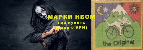 крисы Козельск