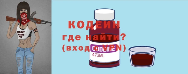 крисы Козельск