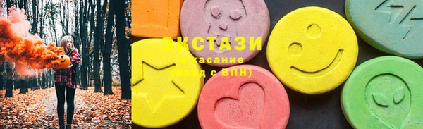 крисы Козельск