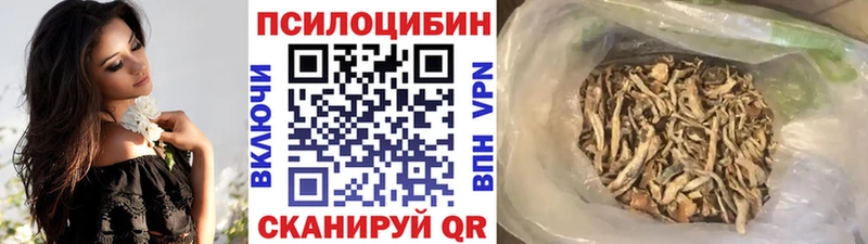 даркнет сайт Ялта Псилоцибиновые грибы Psilocybe