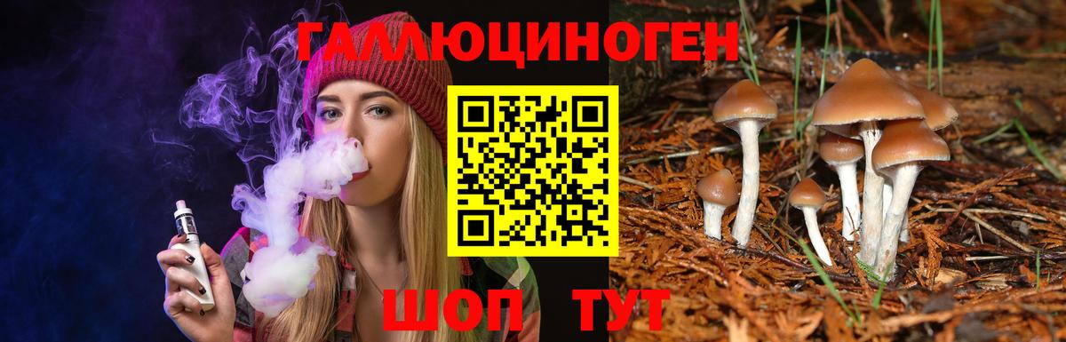 Псилоцибиновые грибы Magic Shrooms Ялта